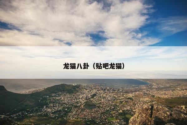 龙猫八卦（贴吧龙猫）