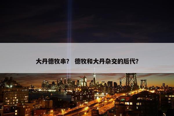 大丹德牧串？ 德牧和大丹杂交的后代？