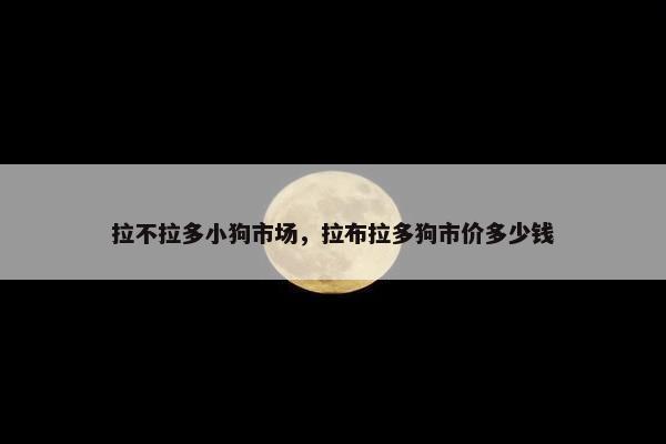 拉不拉多小狗市场，拉布拉多狗市价多少钱