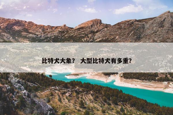 东北虎