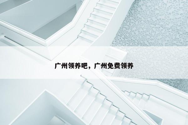 广州领养吧，广州免费领养