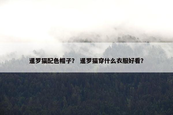 暹罗猫配色帽子？ 暹罗猫穿什么衣服好看？