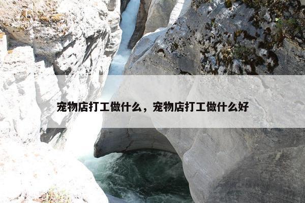 宠物店打工做什么，宠物店打工做什么好