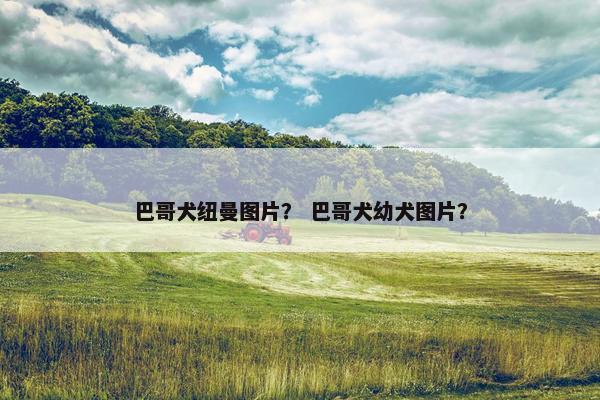 达伦