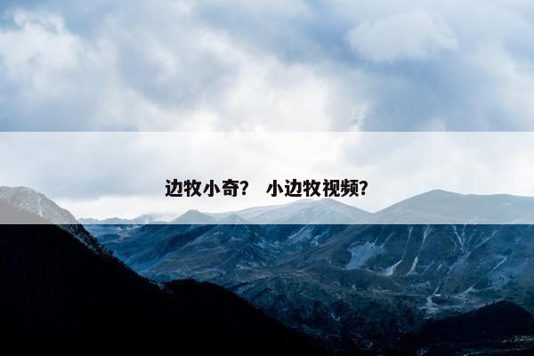 边牧小奇？ 小边牧视频？