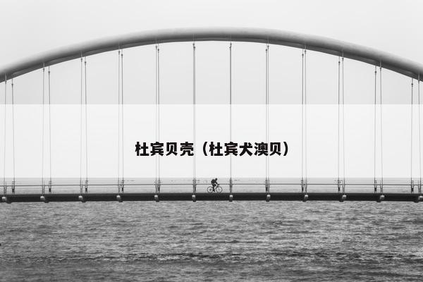 杜宾贝壳（杜宾犬澳贝）