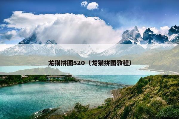 龙猫拼图520（龙猫拼图教程）