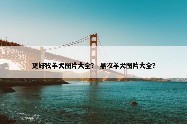 更好牧羊犬图片大全？ 黑牧羊犬图片大全？