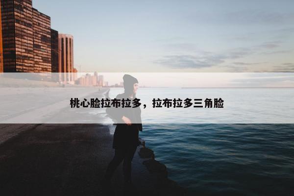 桃心脸拉布拉多，拉布拉多三角脸