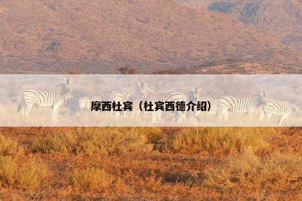 摩西杜宾（杜宾西德介绍）