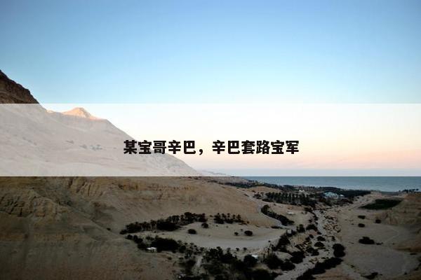 阿宝