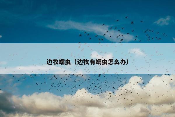 边牧蠕虫（边牧有螨虫怎么办）
