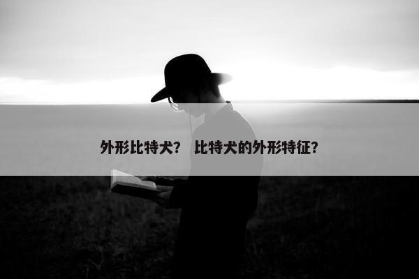 头部 第8页