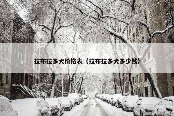 价格 第37页