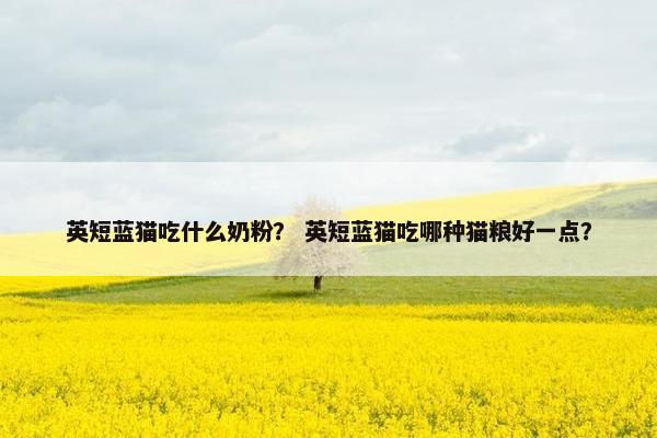 英短蓝猫吃什么奶粉？ 英短蓝猫吃哪种猫粮好一点？