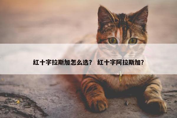 红十字拉斯加怎么选？ 红十字阿拉斯加？