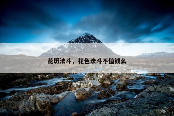 花斑法斗，花色法斗不值钱么
