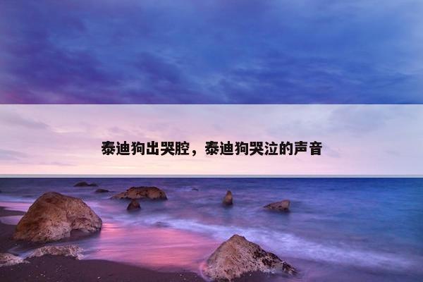 泰迪狗出哭腔，泰迪狗哭泣的声音