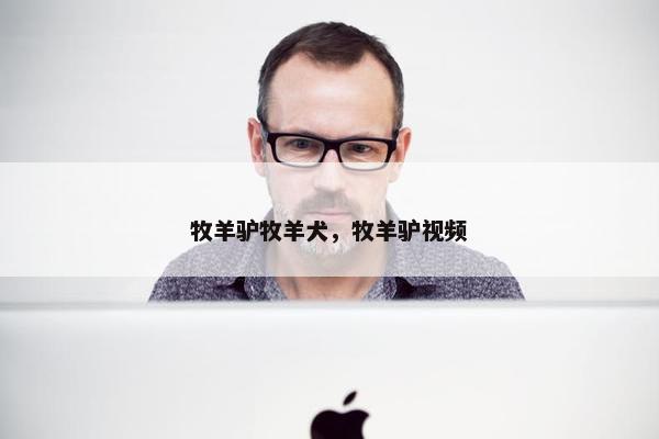 牧羊驴牧羊犬，牧羊驴视频