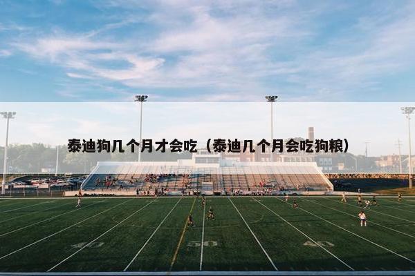 泰迪狗几个月才会吃（泰迪几个月会吃狗粮）