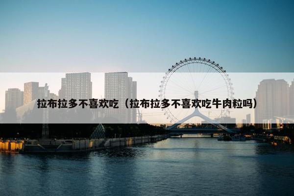 拉布拉多不喜欢吃（拉布拉多不喜欢吃牛肉粒吗）