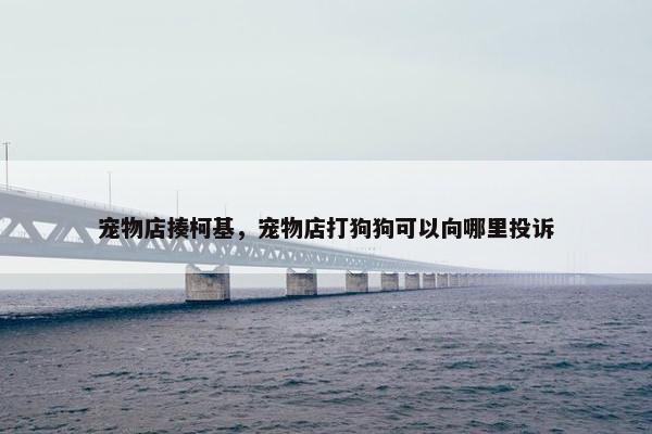 血统 第15页