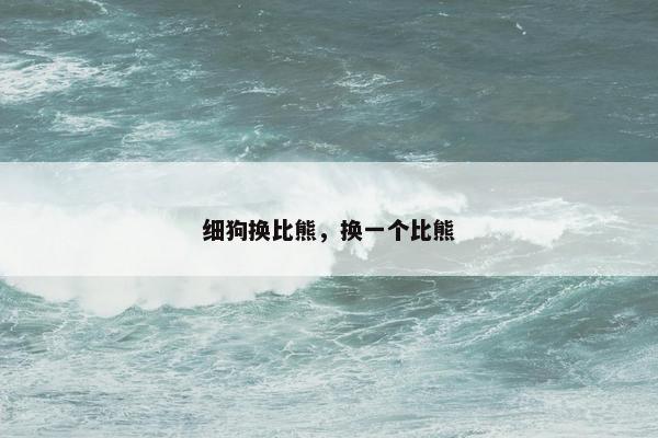 细狗换比熊，换一个比熊