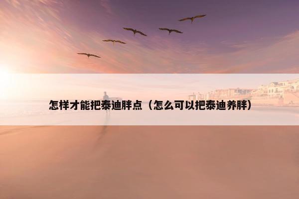 怎样才能把泰迪胖点（怎么可以把泰迪养胖）