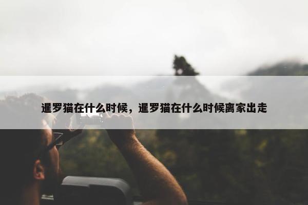 暹罗猫在什么时候，暹罗猫在什么时候离家出走
