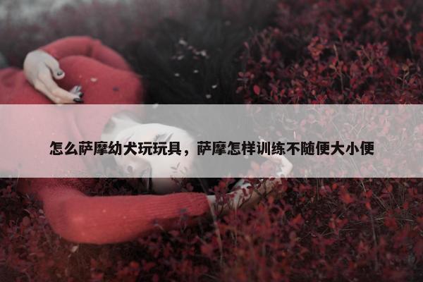 怎么萨摩幼犬玩玩具，萨摩怎样训练不随便大小便