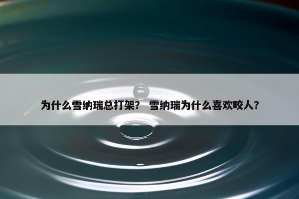为什么雪纳瑞总打架？ 雪纳瑞为什么喜欢咬人？
