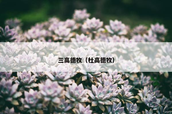 三高德牧（杜高德牧）