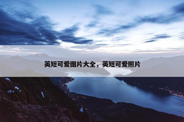 英短可爱图片大全，英短可爱照片