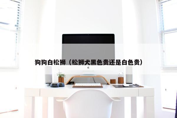 狗狗白松狮（松狮犬黑色贵还是白色贵）