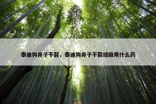 泰迪狗鼻子干裂，泰迪狗鼻子干裂结痂用什么药