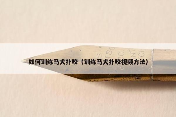 如何训练马犬扑咬（训练马犬扑咬视频方法）