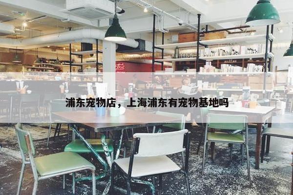 浦东宠物店，上海浦东有宠物基地吗