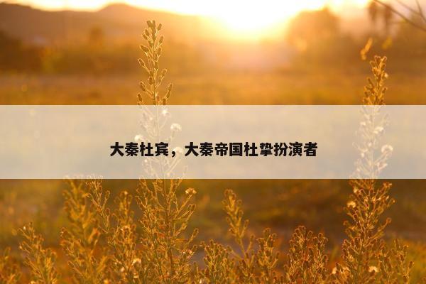 大秦杜宾，大秦帝国杜挚扮演者
