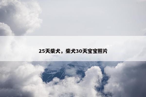 25天柴犬，柴犬30天宝宝照片