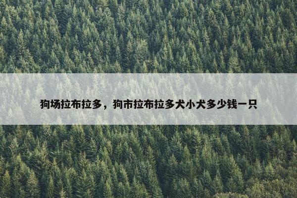 狗场拉布拉多，狗市拉布拉多犬小犬多少钱一只