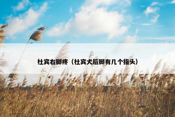 天都