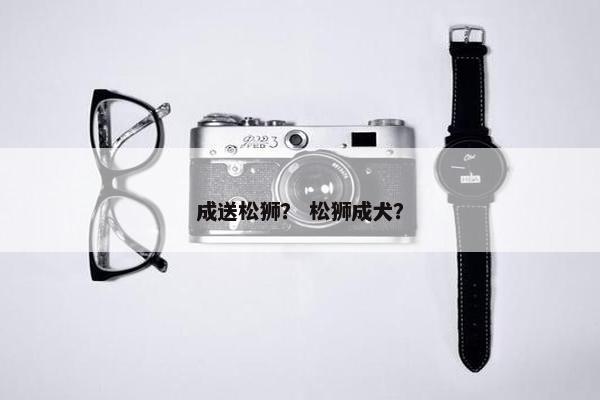 成送松狮？ 松狮成犬？