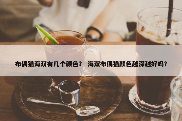 布偶猫海双有几个颜色？ 海双布偶猫颜色越深越好吗？