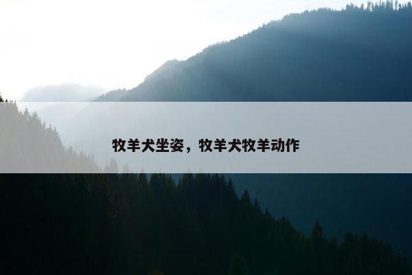 牧羊犬坐姿，牧羊犬牧羊动作