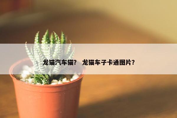 龙猫汽车猫？ 龙猫车子卡通图片？