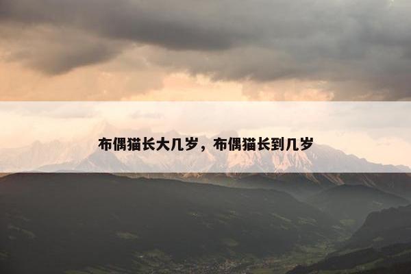 布偶猫长大几岁，布偶猫长到几岁
