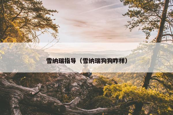 雪纳瑞指导（雪纳瑞狗狗咋样）