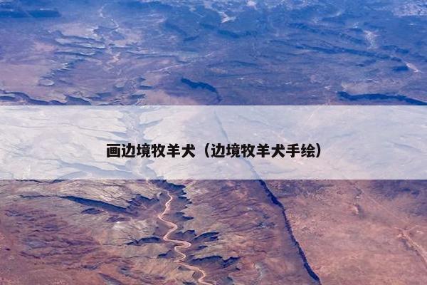 画边境牧羊犬（边境牧羊犬手绘）