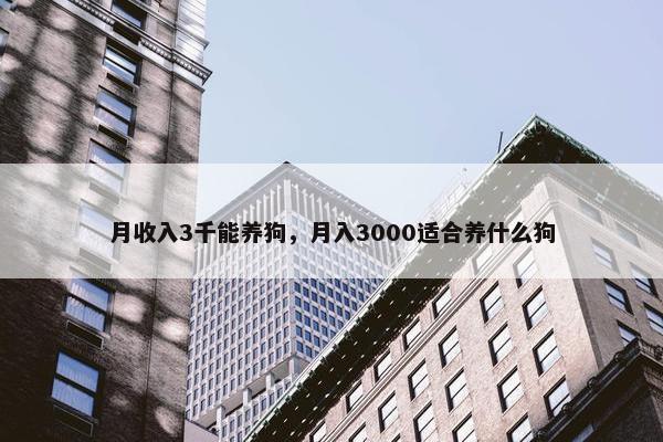 月收入3千能养狗，月入3000适合养什么狗