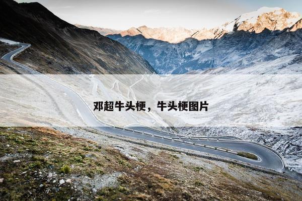 王牌